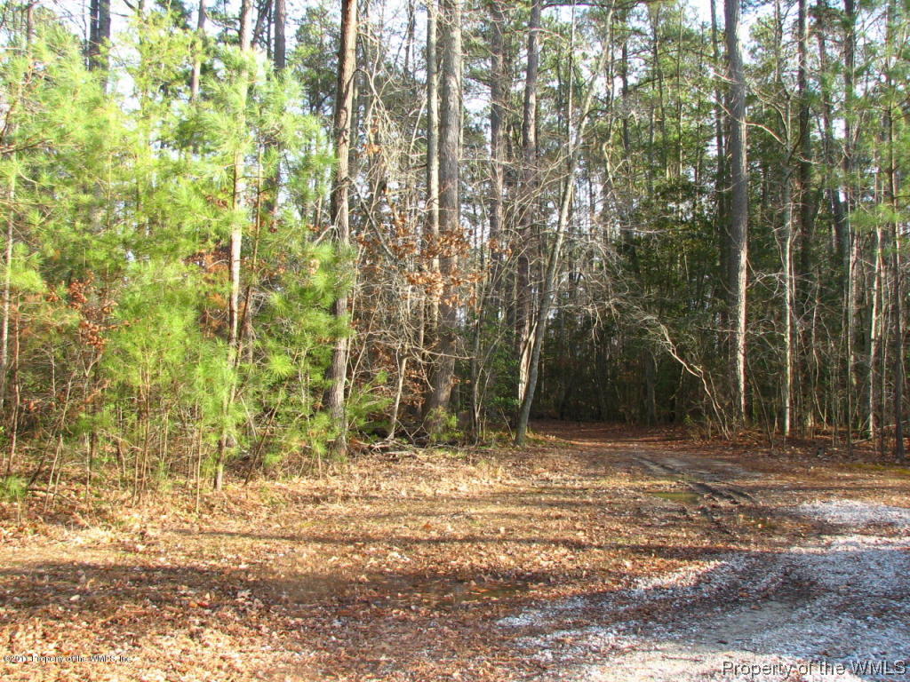 Lot 43 Vaidens Pond Road Lanexa, VA 23089 - Photo 4 of 7 Gallery Image 4