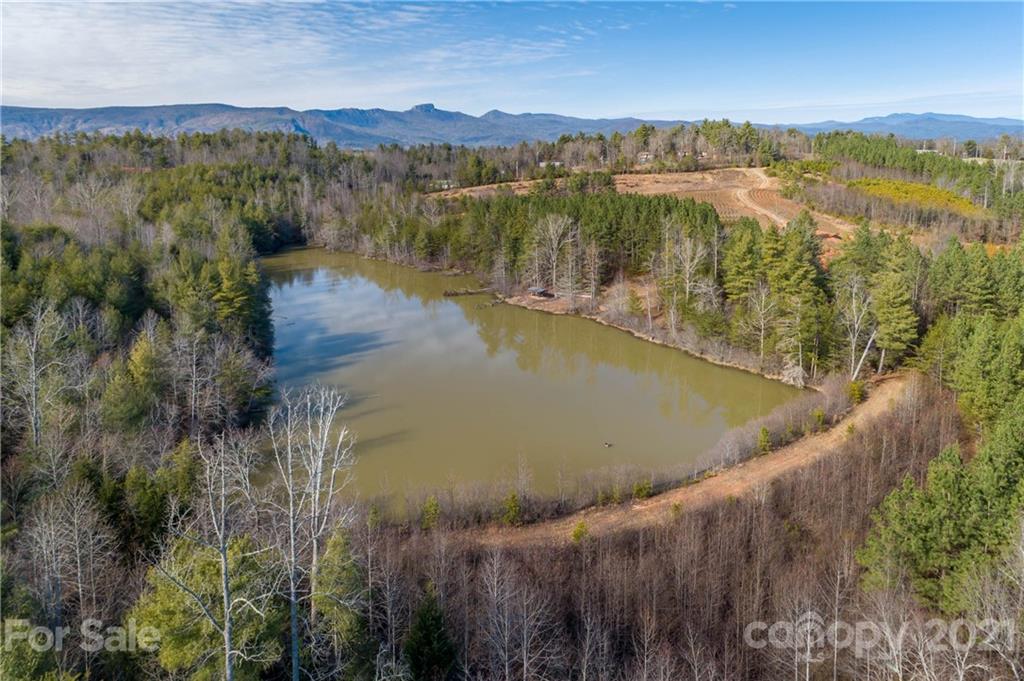 3853 Pea Ridge Road Morganton, NC 28655 - Photo 3 of 17 Gallery Image 3