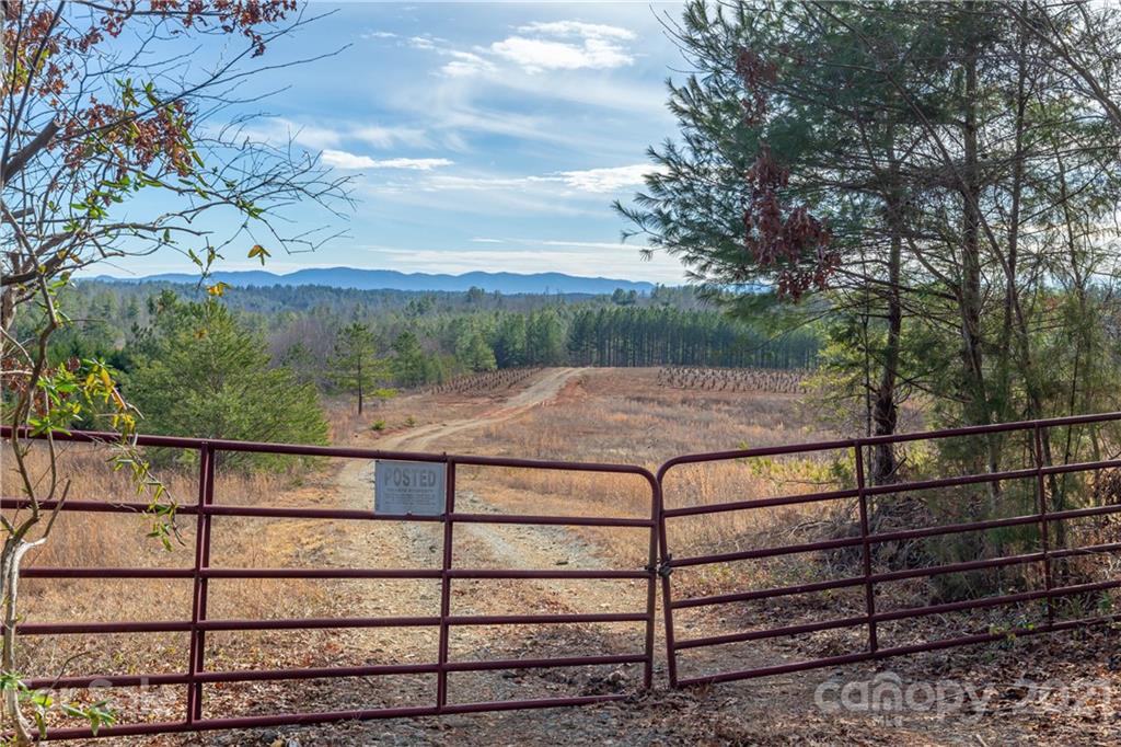 3853 Pea Ridge Road Morganton, NC 28655 - Photo 6 of 17 Gallery Image 6