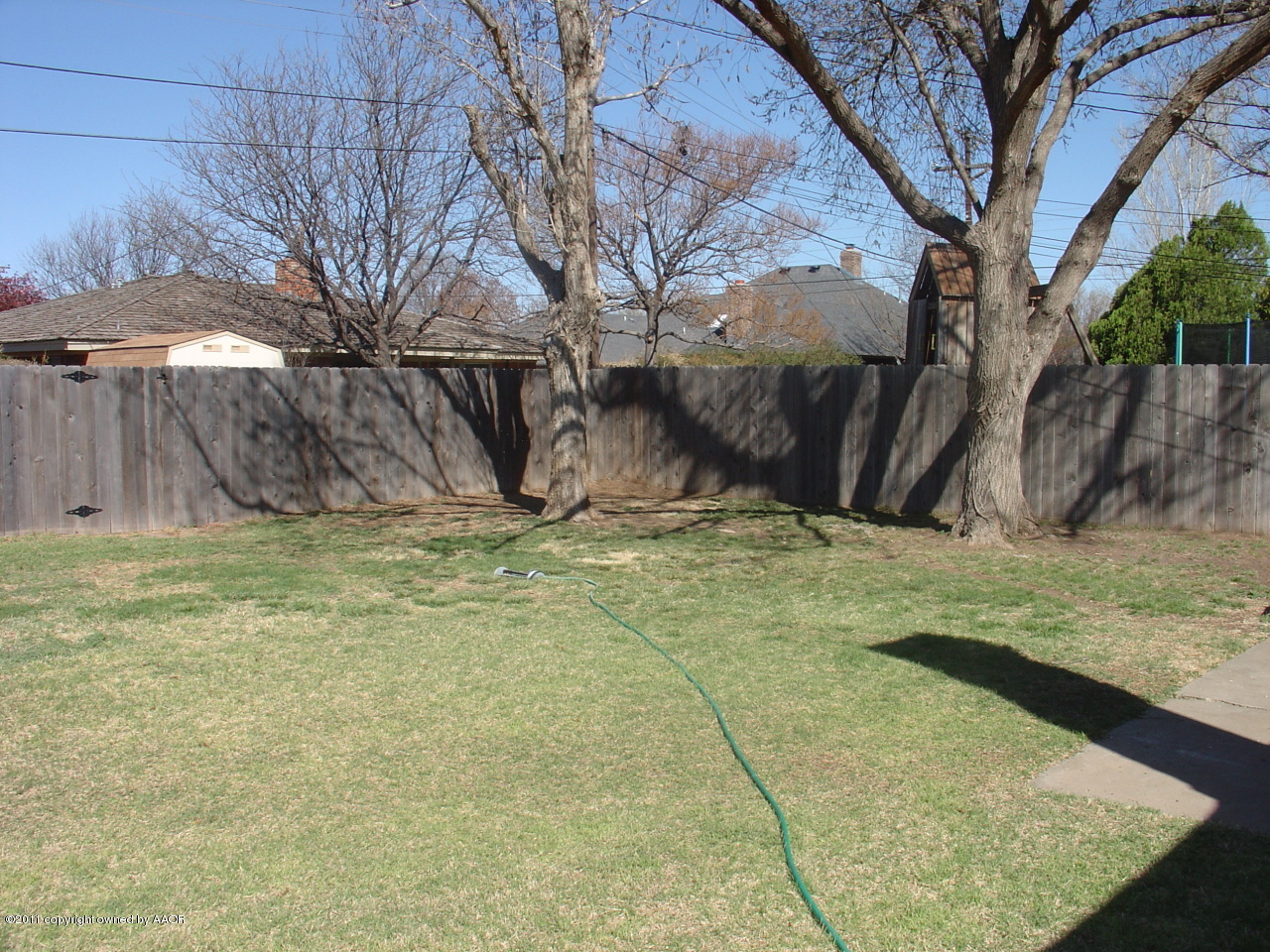 3306 Bedford Road Amarillo, TX 79106 - Photo 17 of 19 a view of a backyard with large trees