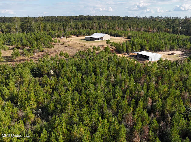 2285 P P Wilson Road Osyka, MS 39657 - Photo 27 of 40 IMG_1079