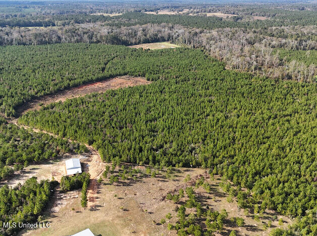 2285 P P Wilson Road Osyka, MS 39657 - Photo 28 of 40 IMG_1068