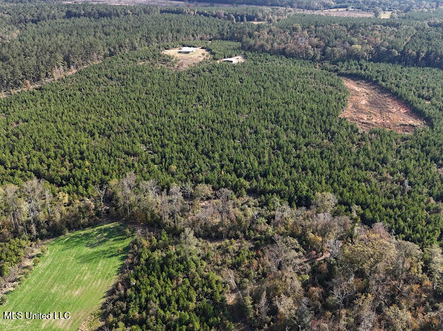 2285 P P Wilson Road Osyka, MS 39657 - Photo 29 of 40 IMG_1071