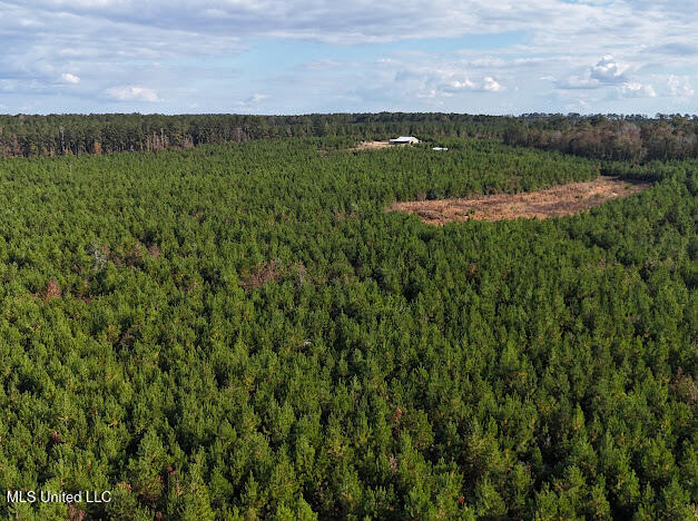 2285 P P Wilson Road Osyka, MS 39657 - Photo 30 of 40 IMG_1077