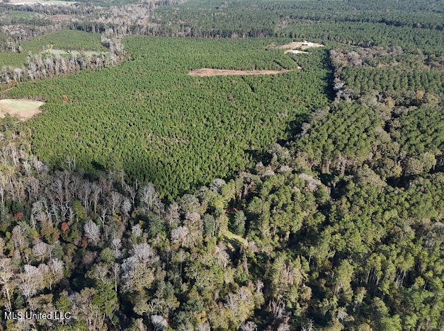 2285 P P Wilson Road Osyka, MS 39657 - Photo 33 of 40 IMG_1075