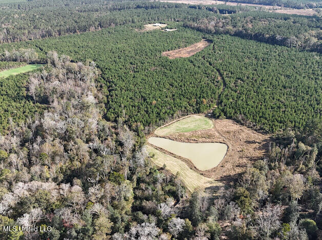 2285 P P Wilson Road Osyka, MS 39657 - Photo 34 of 40 IMG_1072