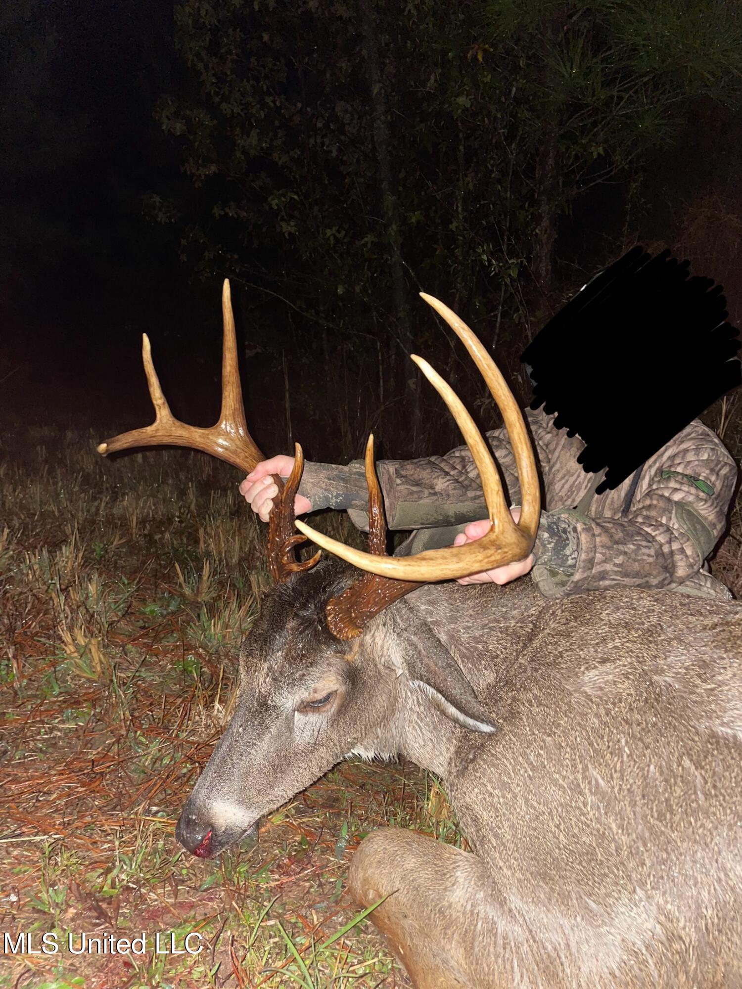 2285 P P Wilson Road Osyka, MS 39657 - Photo 36 of 40 IMG_0506