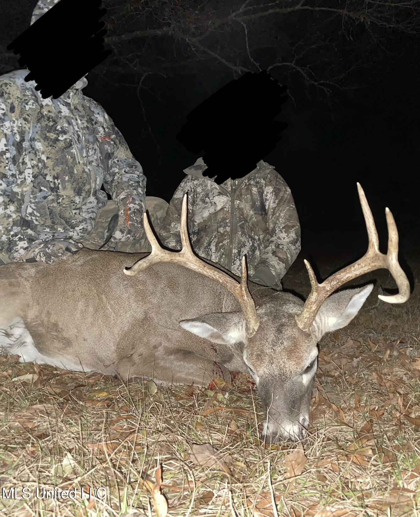 2285 P P Wilson Road Osyka, MS 39657 - Photo 38 of 40 IMG_1086