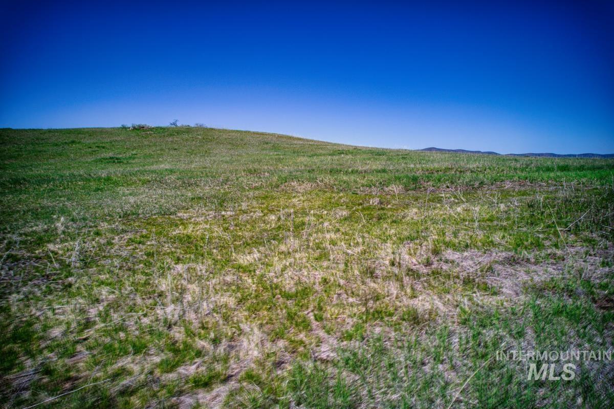 Parcel A&b Timber Flt Road Ola, ID 83657 - Photo 11 of 50