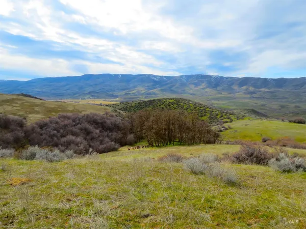 $785,000 | Parcel A&b Timber Flt Road, Ola, ID 83657