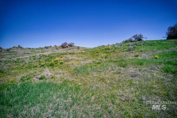$785,000 | Parcel A&b Timber Flt Road, Ola, ID 83657