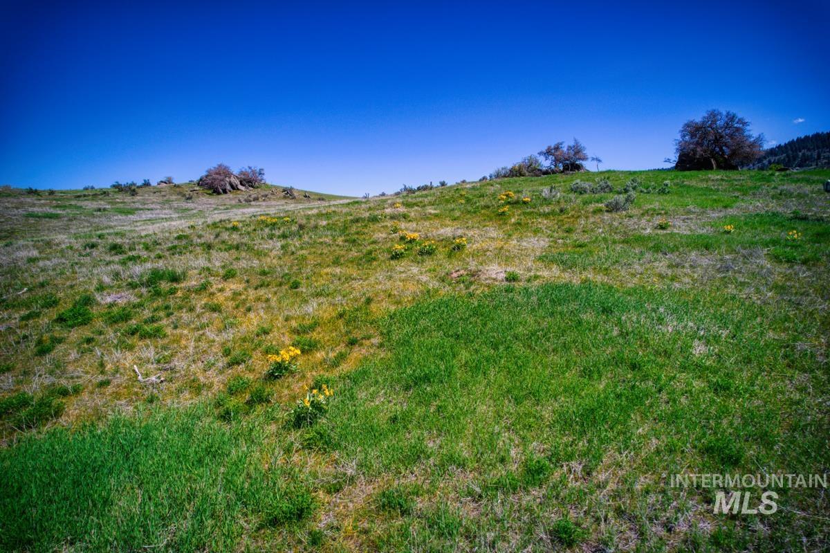 Parcel A&b Timber Flt Road Ola, ID 83657 - Photo 29 of 50