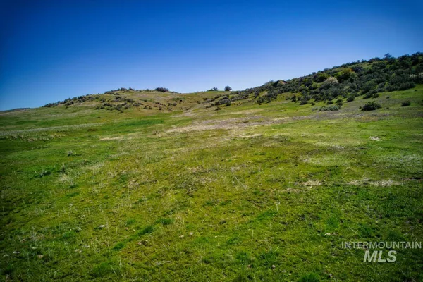 $785,000 | Parcel A&b Timber Flt Road, Ola, ID 83657