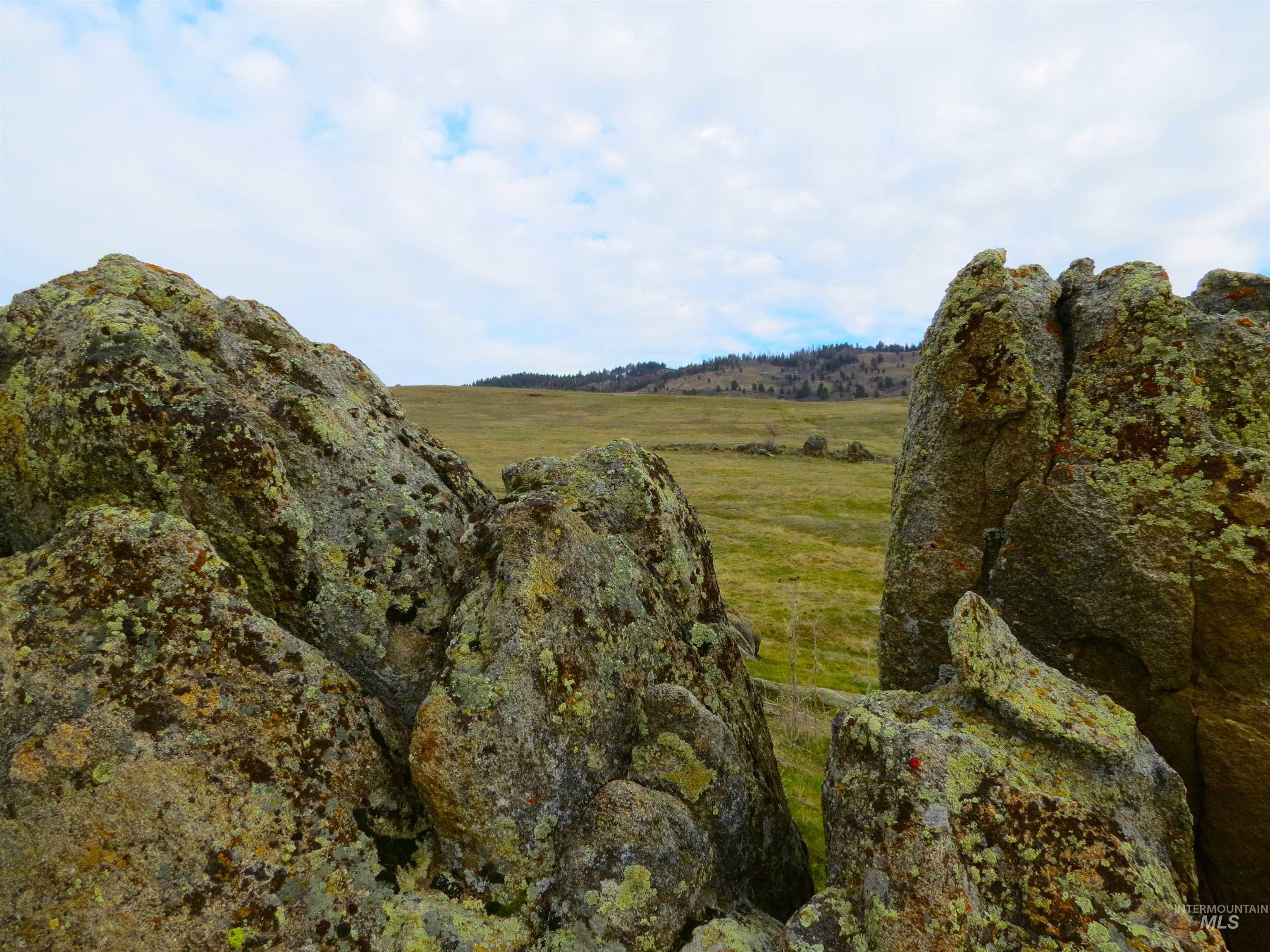 Parcel A&b Timber Flt Road Ola, ID 83657 - Photo 35 of 50