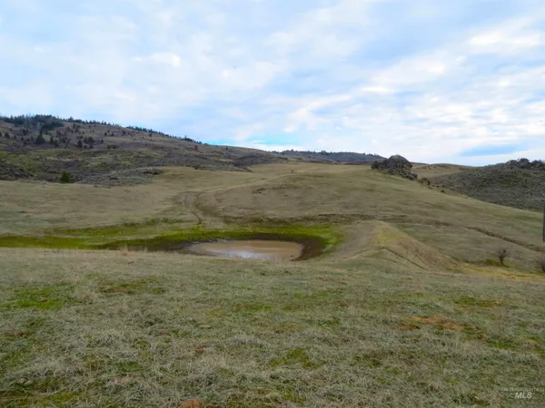 $785,000 | Parcel A&b Timber Flt Road, Ola, ID 83657