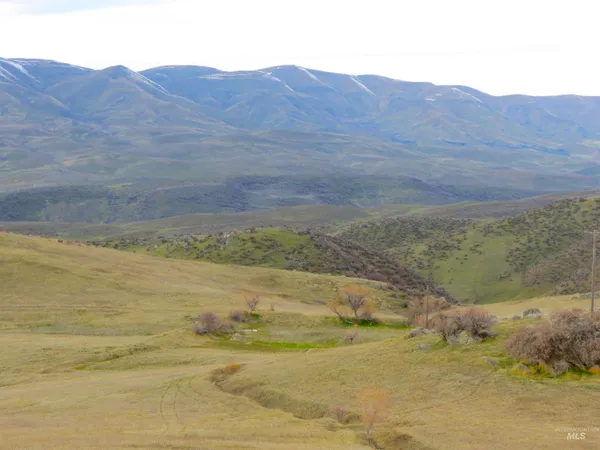 $785,000 | Parcel A&b Timber Flt Road, Ola, ID 83657