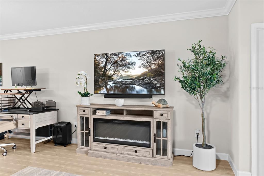 10232 Echo Dock Loop San Antonio, FL 33576 - Photo 18 of 43 a living room with furniture a flat screen tv and a potted plant