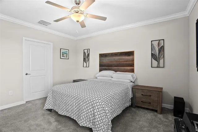 a bedroom with a bed and a couch