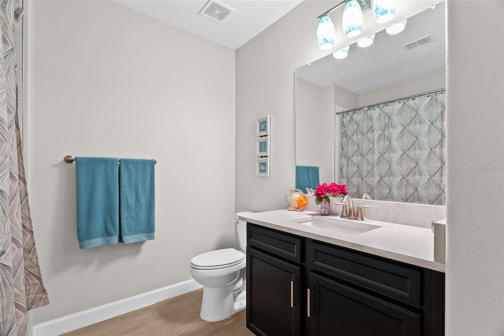 10232 Echo Dock Loop San Antonio, FL 33576 - Photo 31 of 43 a bathroom with a sink vanity mirror and toilet