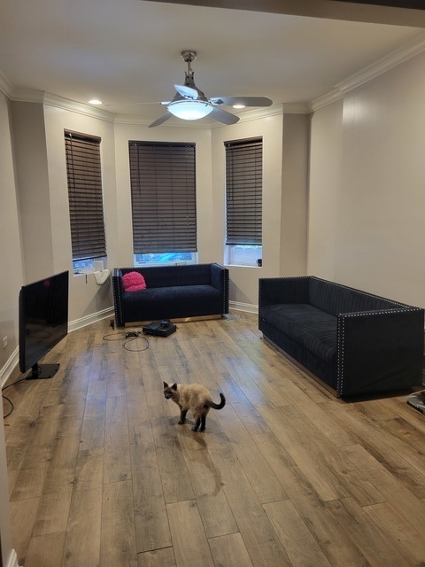 6016 South Carpenter Street Chicago, IL 60621 - Photo 2 of 15 a living room with furniture and a flat screen tv