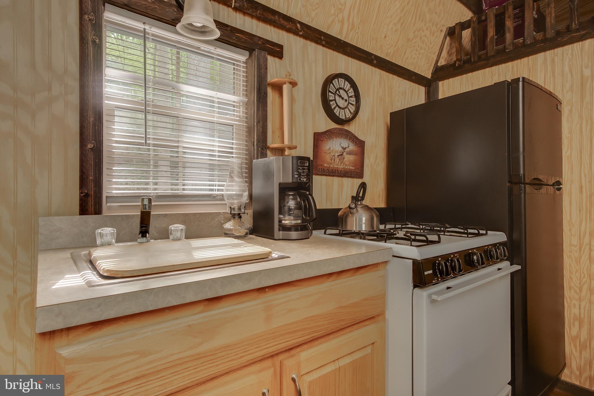 Spruce Run Road Myersville, MD 21773 - Photo 12 of 45 Who says roughing it has to be rough?