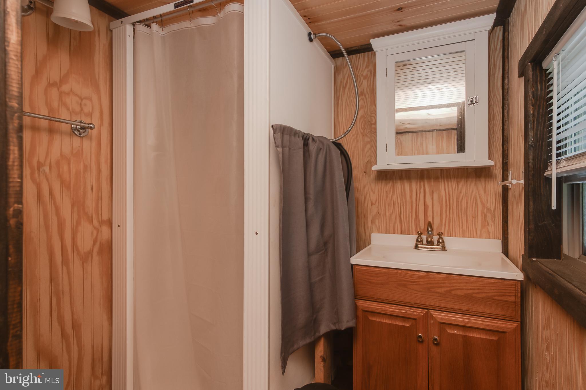 Spruce Run Road Myersville, MD 21773 - Photo 15 of 45 A shower with hot running water