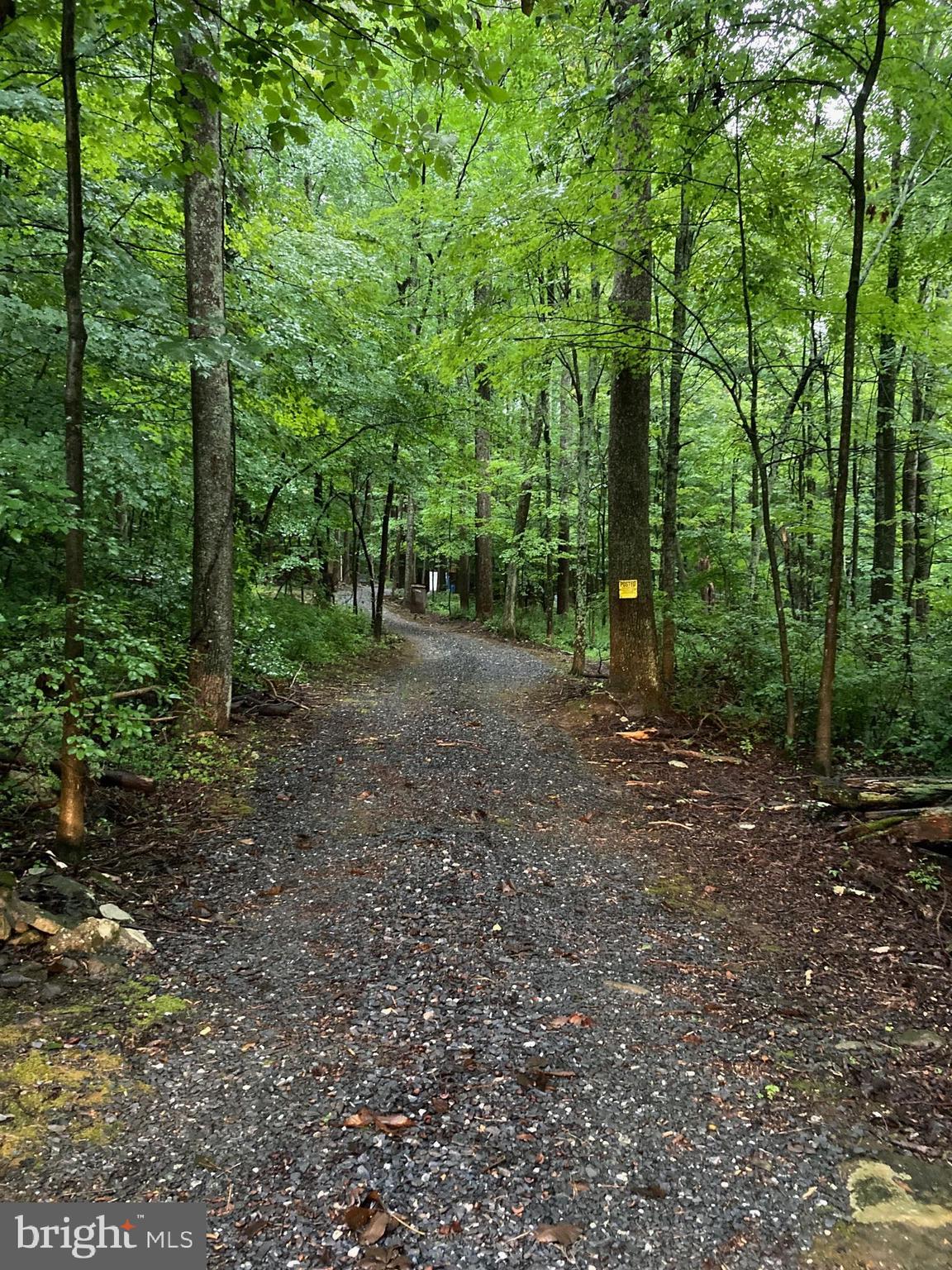 Spruce Run Road Myersville, MD 21773 - Photo 2 of 45 View from property entry gate