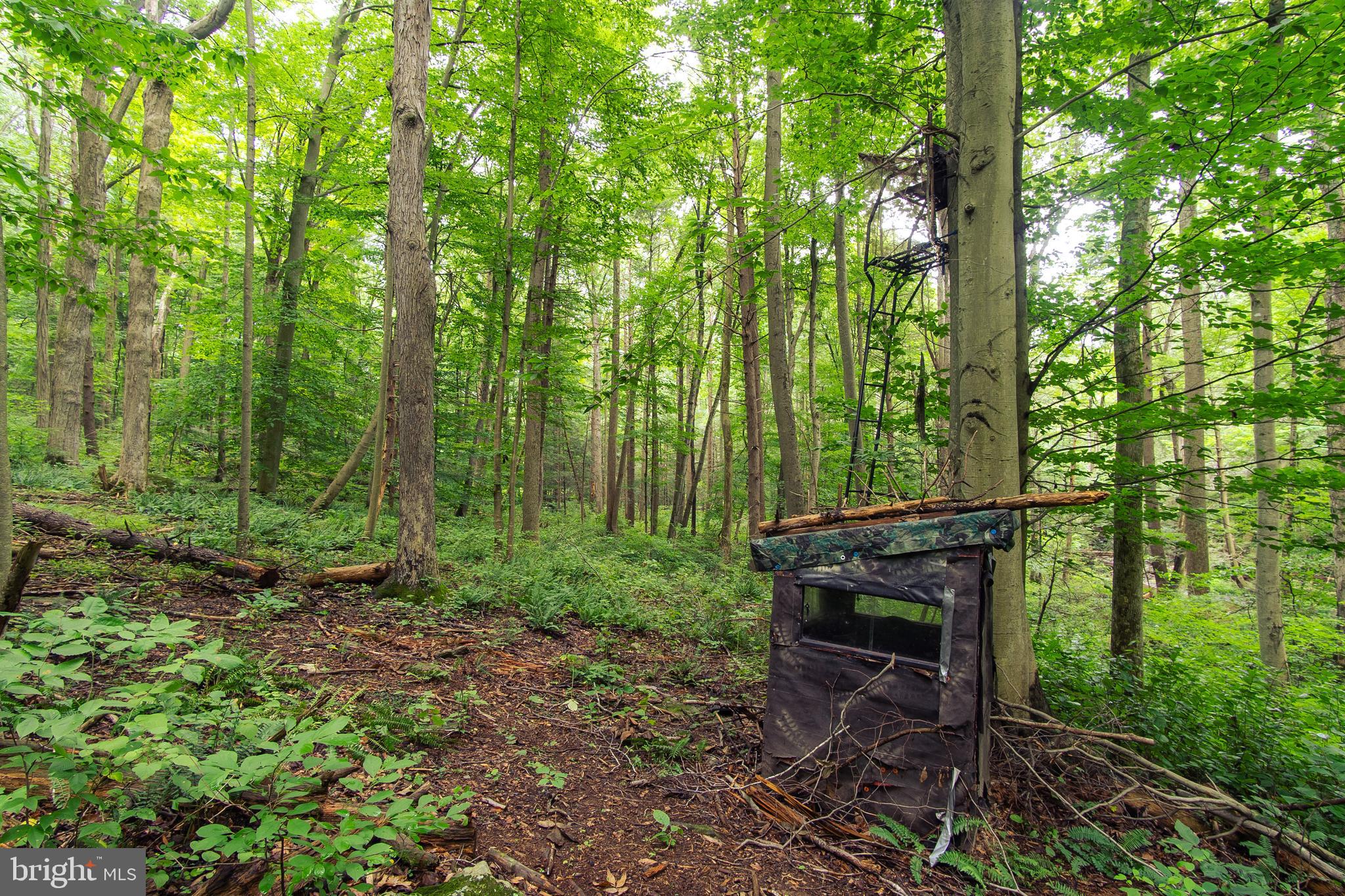 Spruce Run Road Myersville, MD 21773 - Photo 28 of 45