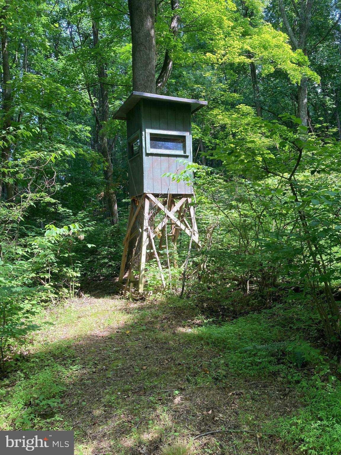 Spruce Run Road Myersville, MD 21773 - Photo 29 of 45