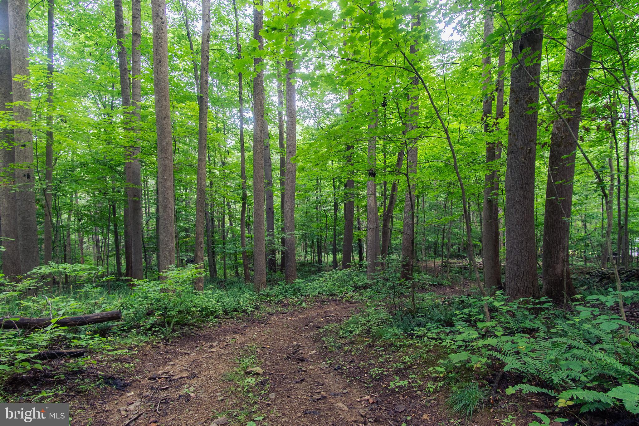 Spruce Run Road Myersville, MD 21773 - Photo 30 of 45