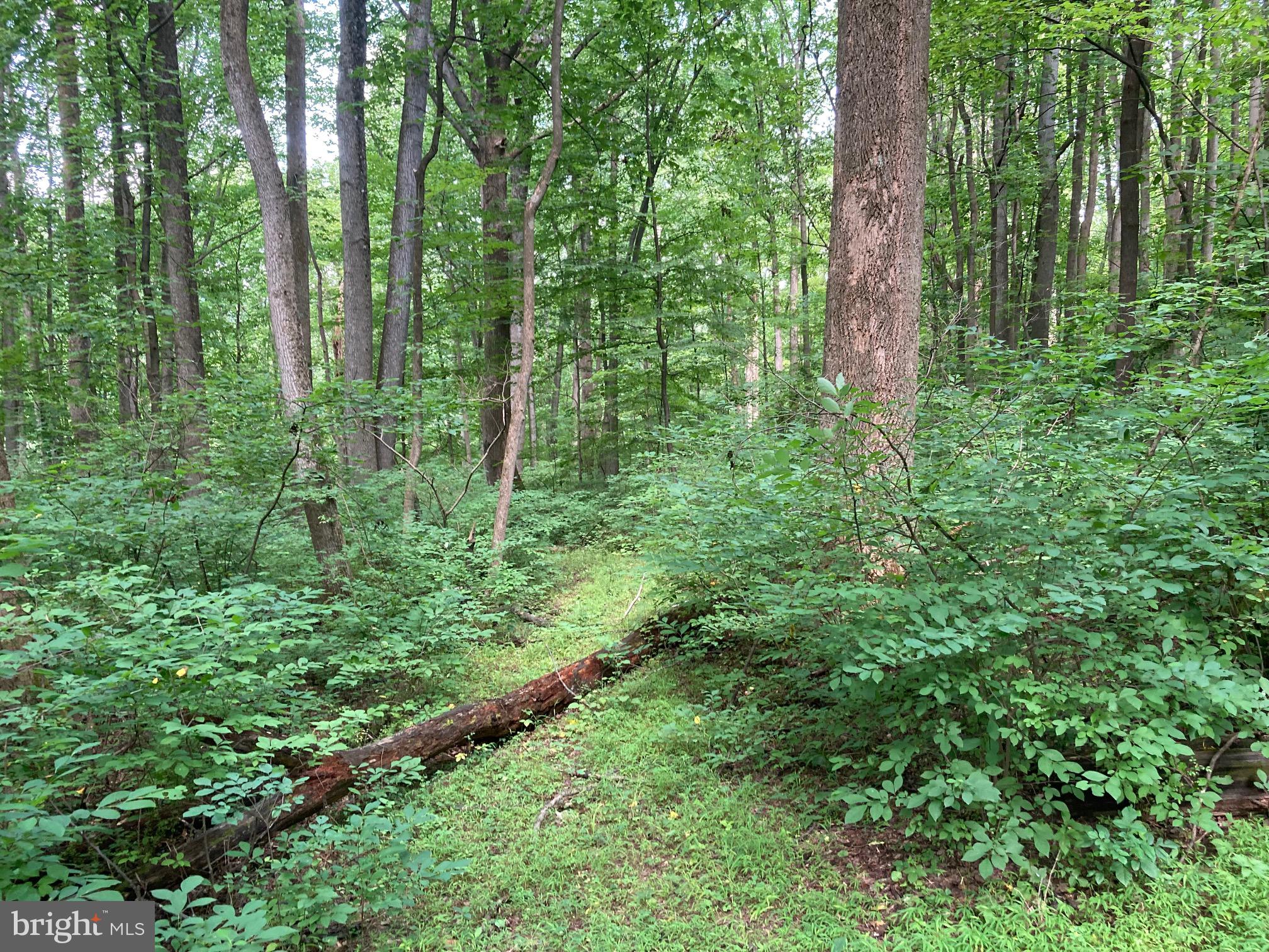Spruce Run Road Myersville, MD 21773 - Photo 31 of 45 Beauty and tranquility in every direction