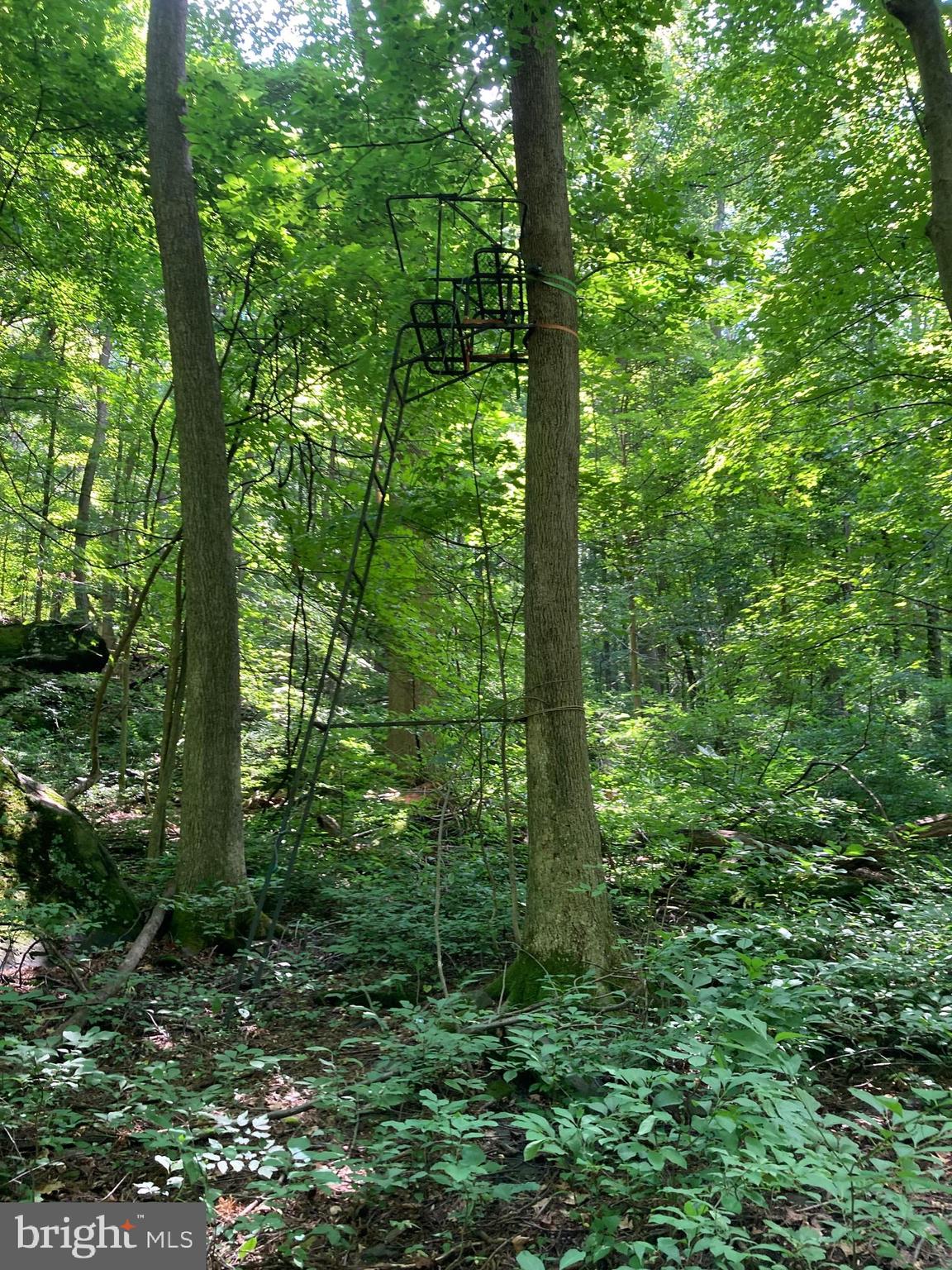 Spruce Run Road Myersville, MD 21773 - Photo 33 of 45