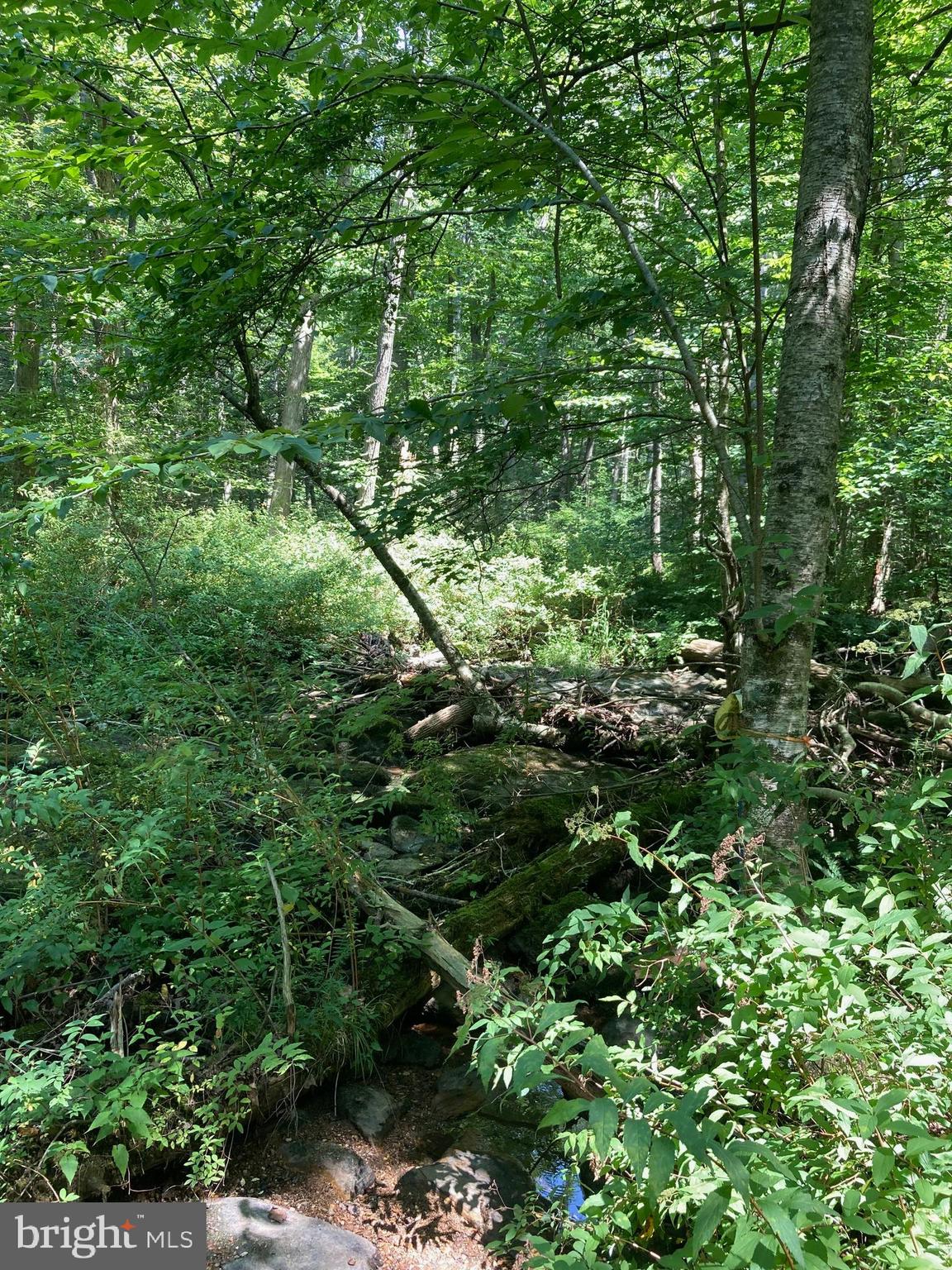 Spruce Run Road Myersville, MD 21773 - Photo 36 of 45