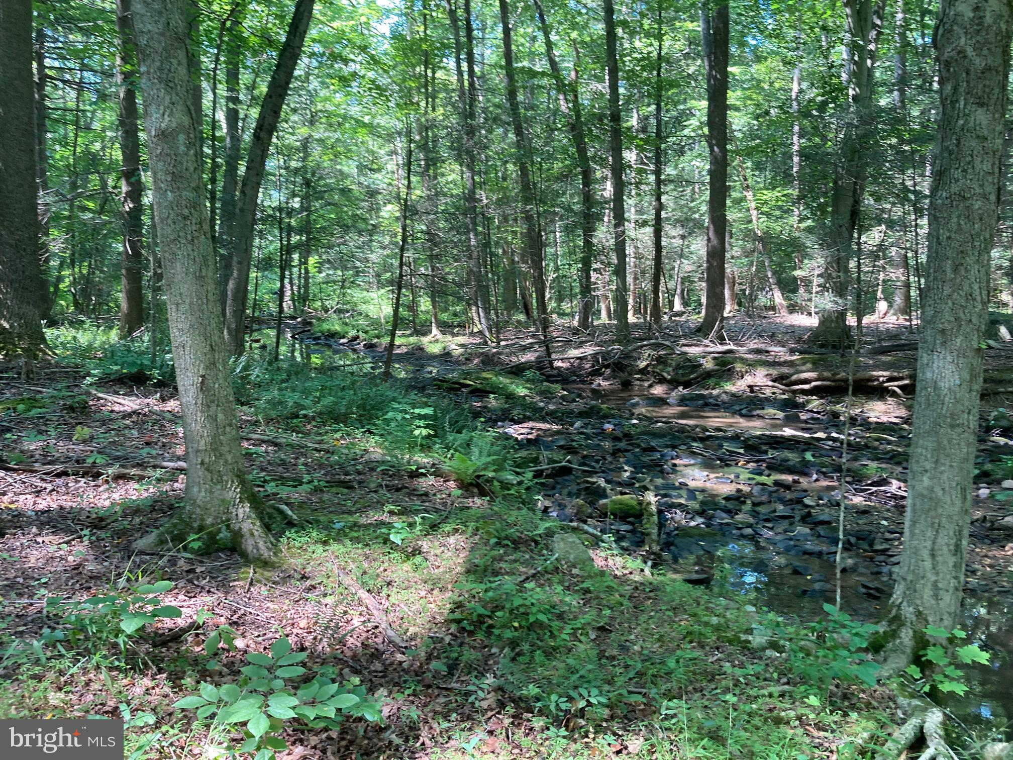 Spruce Run Road Myersville, MD 21773 - Photo 38 of 45