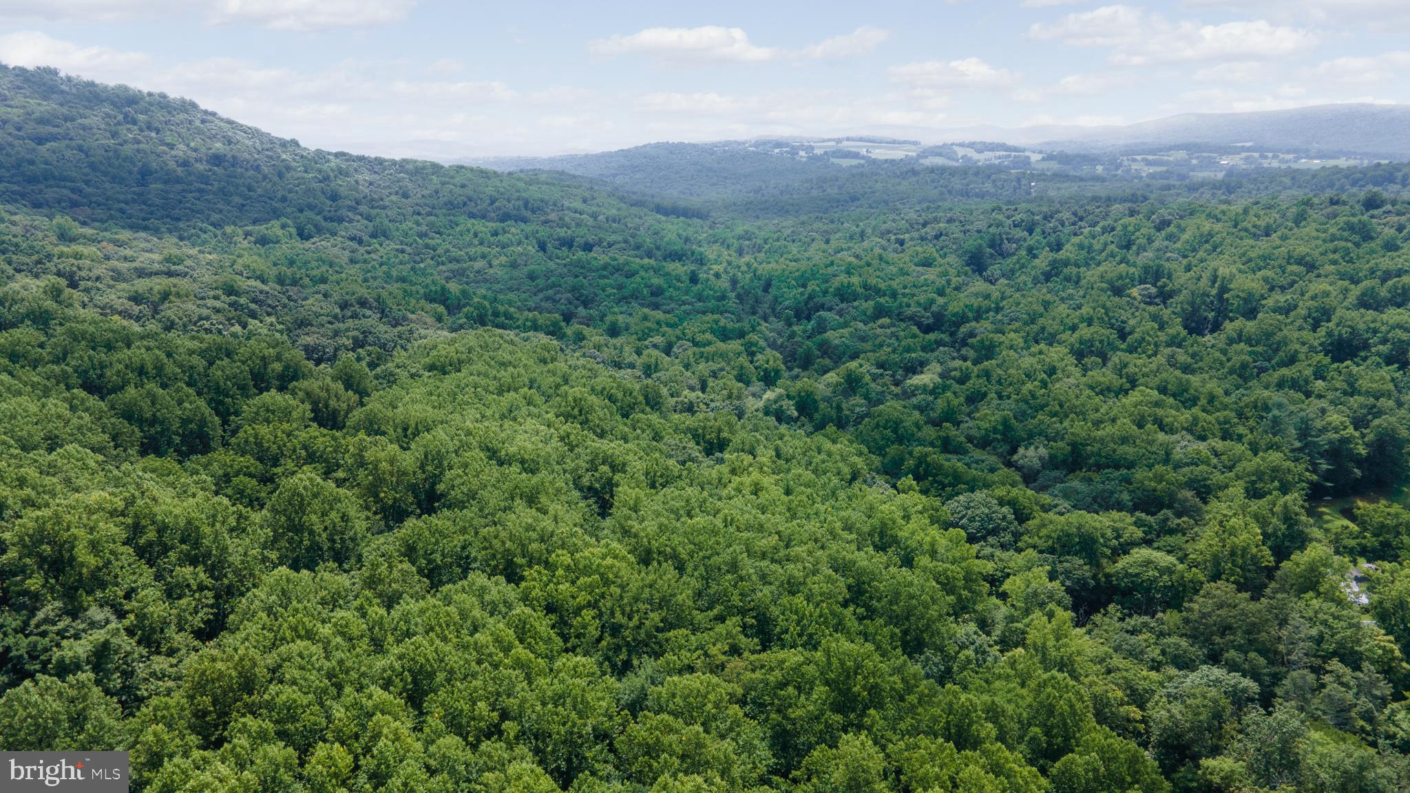 Spruce Run Road Myersville, MD 21773 - Photo 44 of 45 Surrounding countryside
