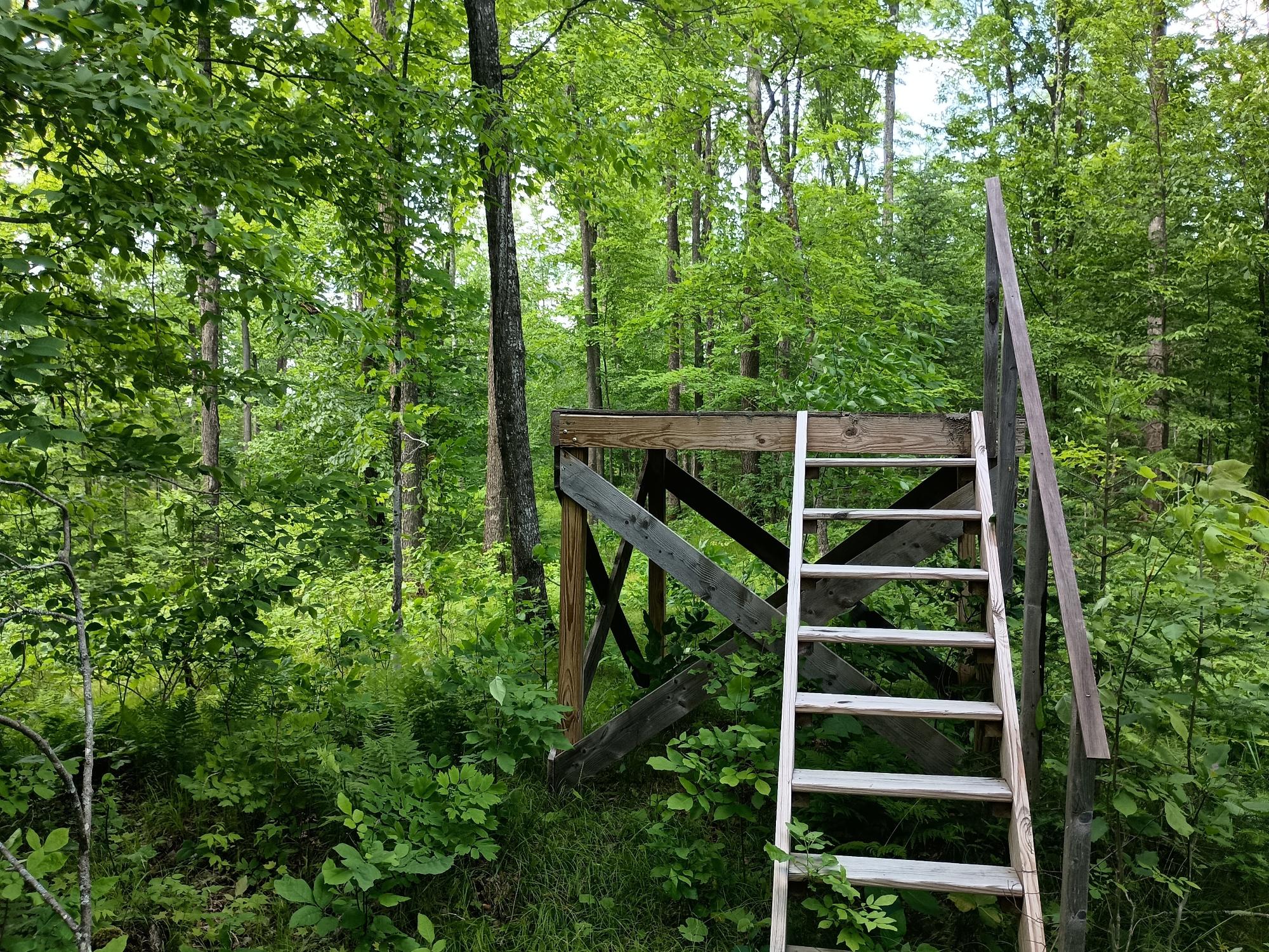 Off Creamery Road, Unit 40 ACRES Butternut, WI 54514 - Photo 6 of 21 Gallery Image 6