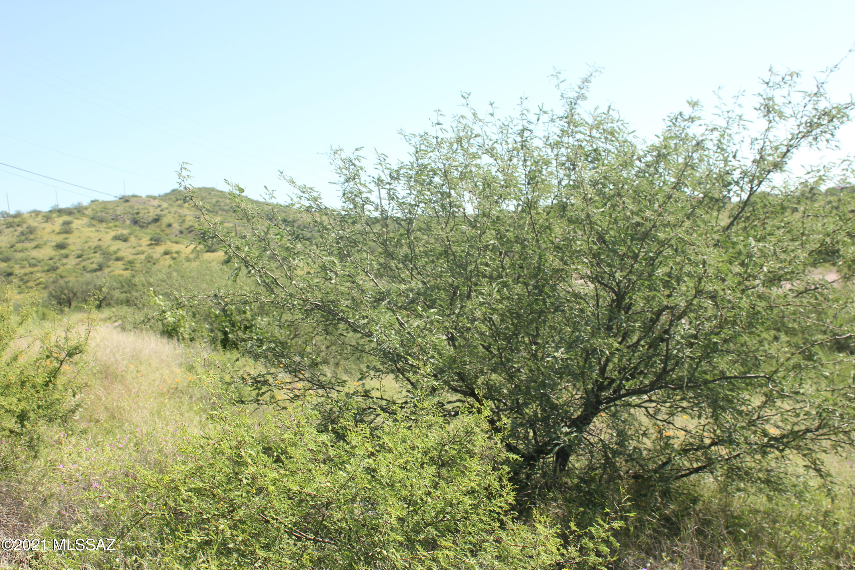 1008 Camino Estrella, Unit 25 Rio Rico, AZ 85648 - Photo 3 of 3