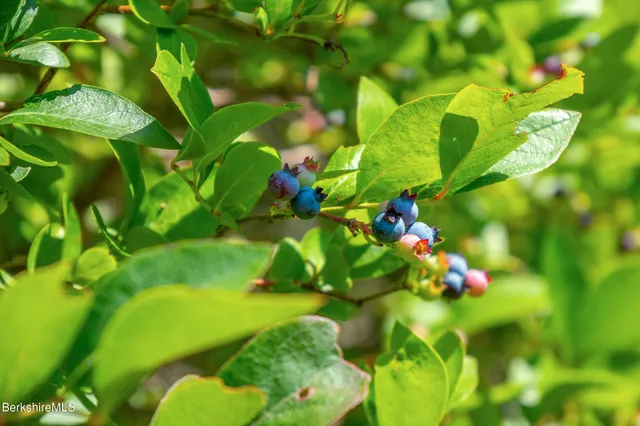 $1,500,000 | 194 Sandisfield Road, Sandisfield, MA 01255