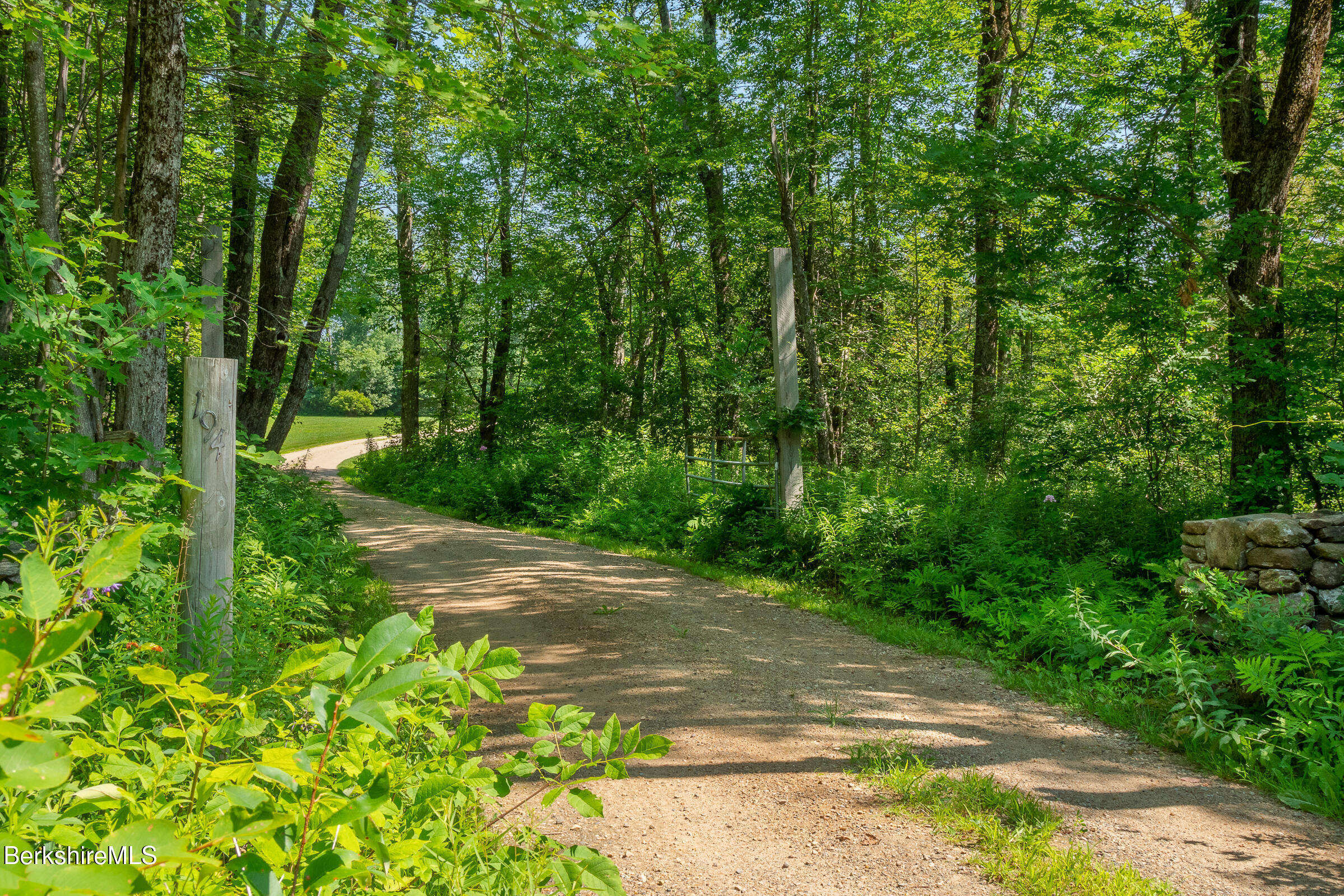 194 Sandisfield Road Sandisfield, MA 01255 - Photo 58 of 59 a view of a yard with plants and large trees