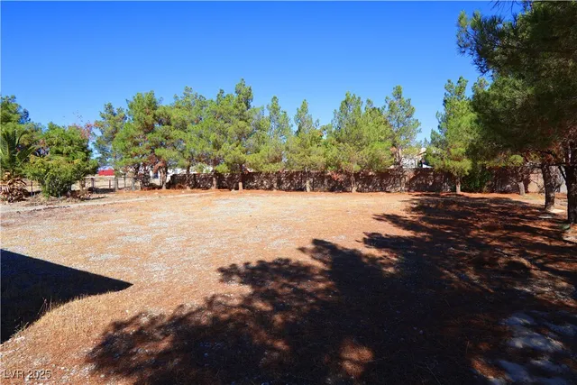 $2,295 | 2751 South Dandelion Street, Pahrump, NV 89048