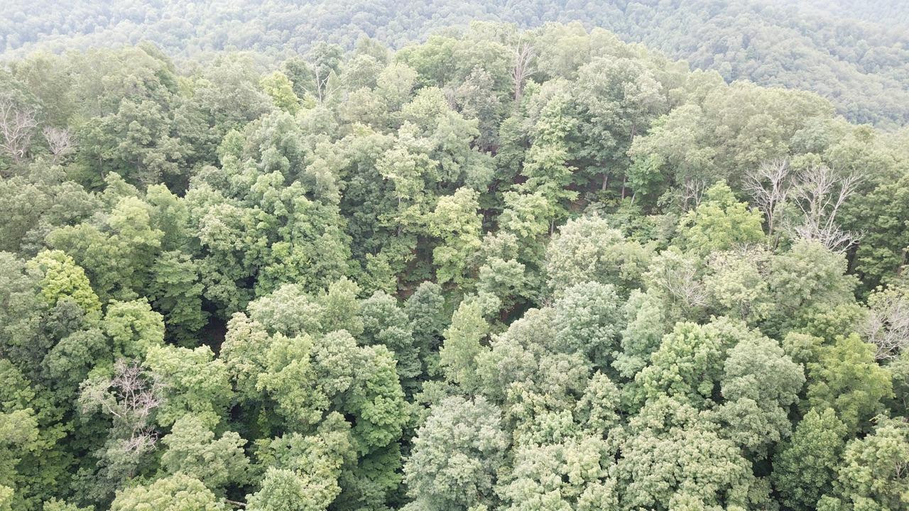 4725 Crane Creek Road Manchester, KY 40962 - Photo 38 of 50 Photo 38