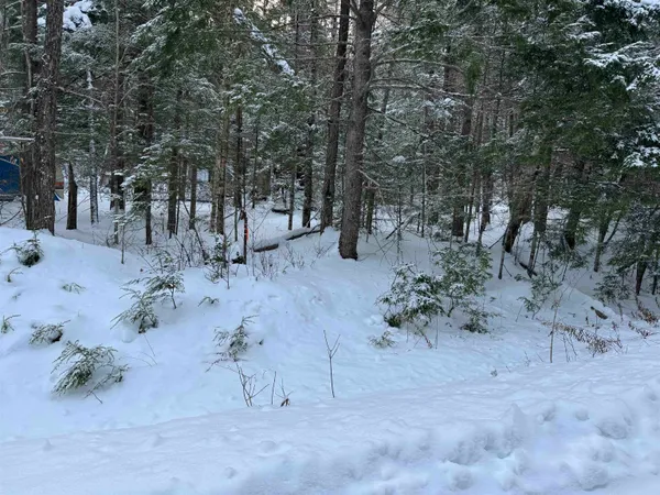 $38,000 | Lot 1 Welch View Drive, Thornton, NH 03285