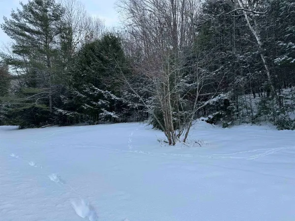 $38,000 | Lot 1 Welch View Drive, Thornton, NH 03285