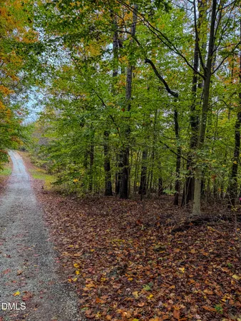 a big yard with lots of green space