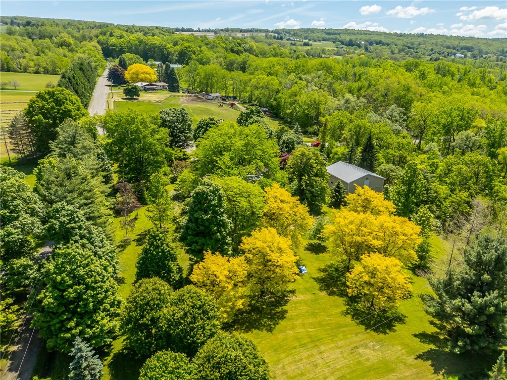 5947 Harter Road Dansville, NY 14437 - Photo 49 of 50