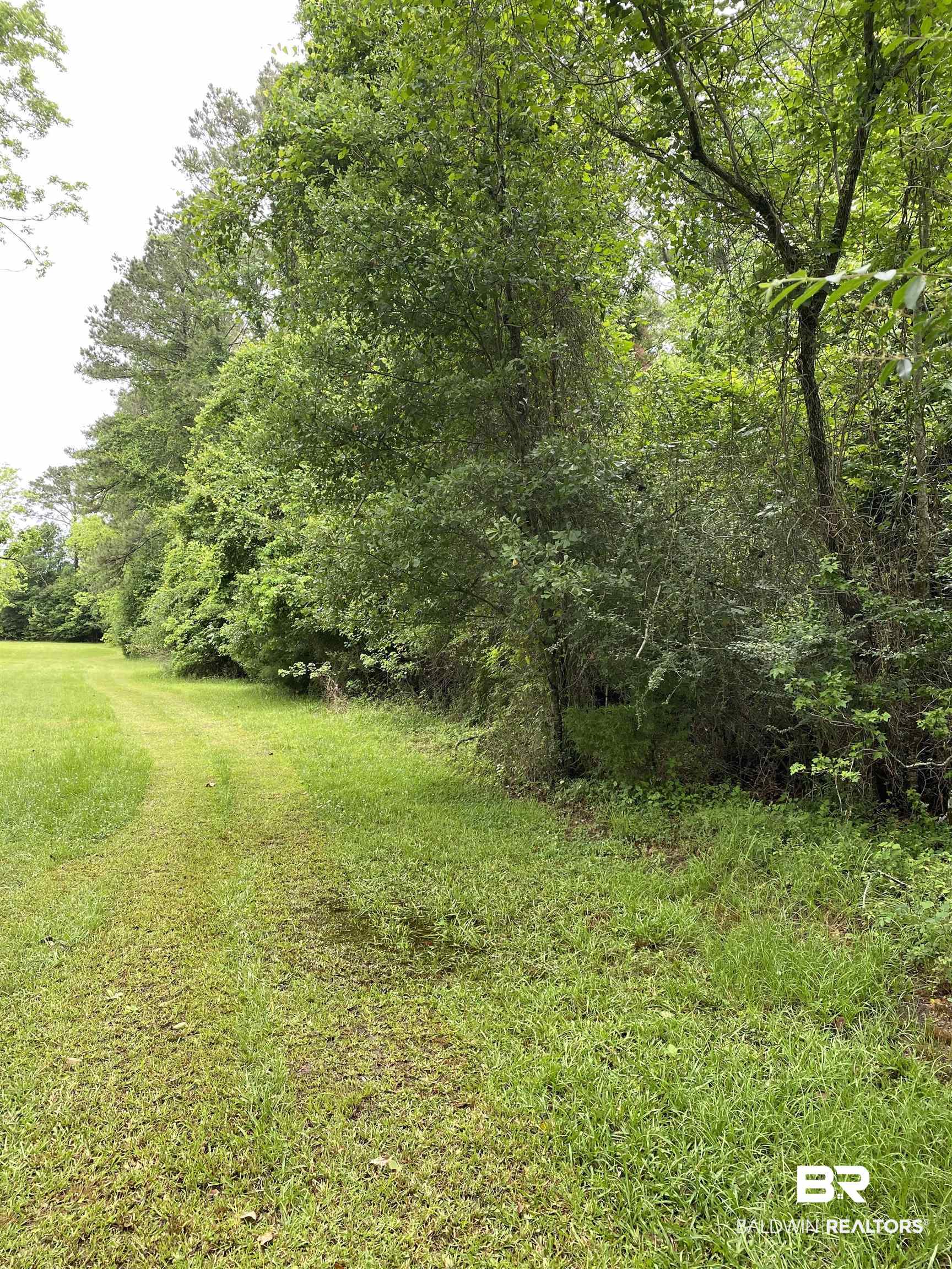 0 Old Mobile Road Daphne, AL 36527 - Photo 5 of 9 View of green lawn
