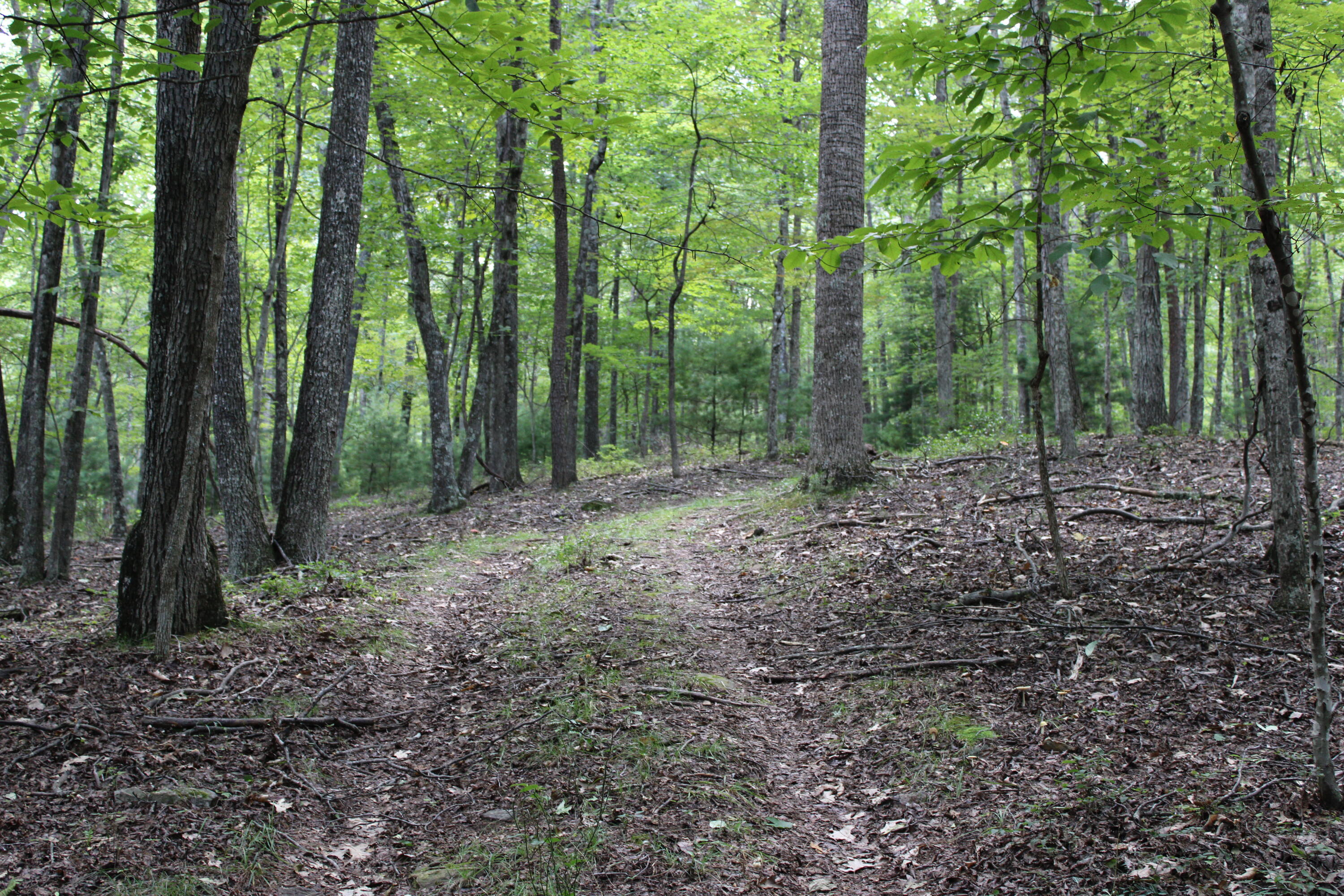 2816 Johns Creek Road New Castle, VA 24127 - Photo 54 of 96 IMG_0082