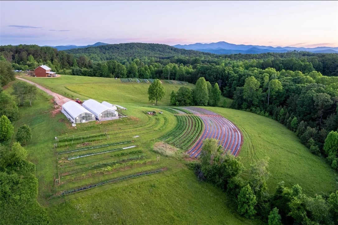 Rolling green hills and structured cultivation fields span outward toward a distant mountain skyline.