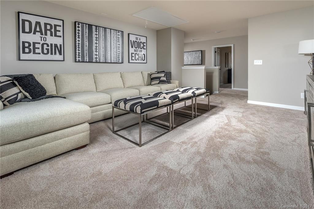 257 Keating Pl Drive, Unit 46 Fort Mill, SC 29708 - Photo 4 of 24 a living room with furniture and a wall painting