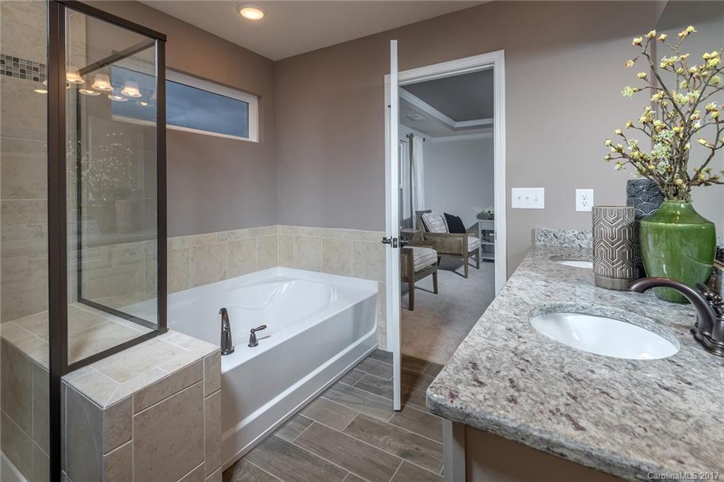 257 Keating Pl Drive, Unit 46 Fort Mill, SC 29708 - Photo 5 of 24 a bathroom with a granite countertop tub sink and mirror